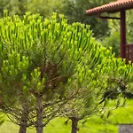 Апарт-отель Odalys Erromardie 4*