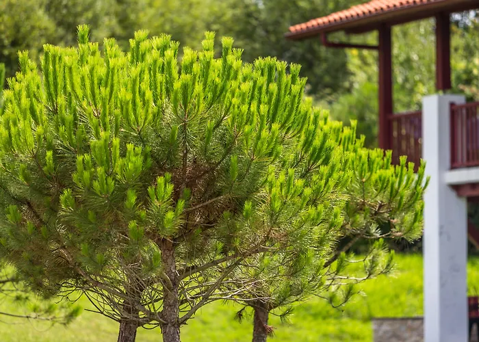 Aparthotel Odalys Erromardie 4*